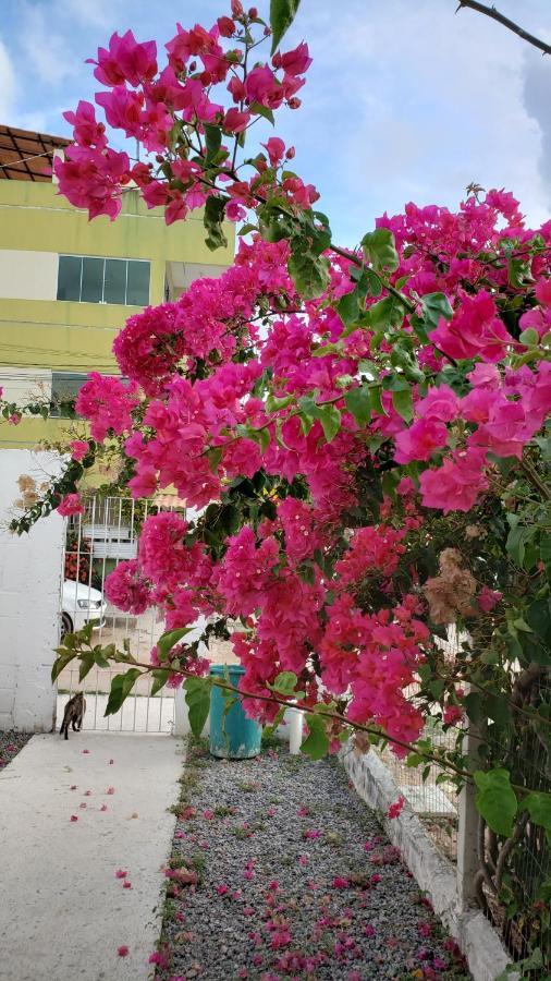 Solar Teixeira Flats Hotel Porto de Galinhas Exterior photo