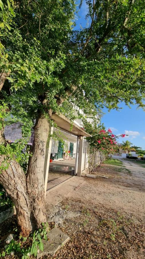 Solar Teixeira Flats Hotel Porto de Galinhas Exterior photo